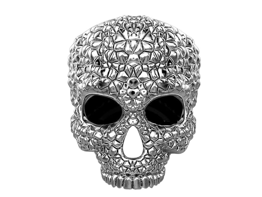 Amazon.com: Ssjewel Chino Antrax Ring Solid 925 Silver Skull